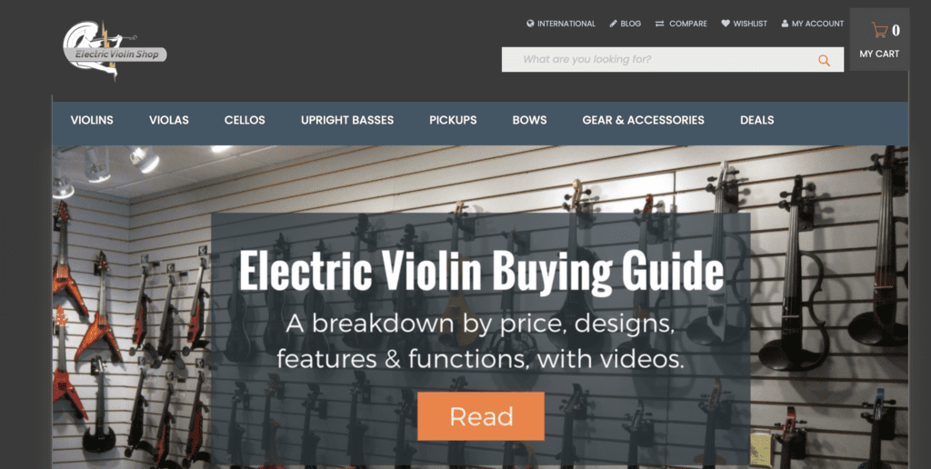 Gifts For Violinists Electric Violin Shop